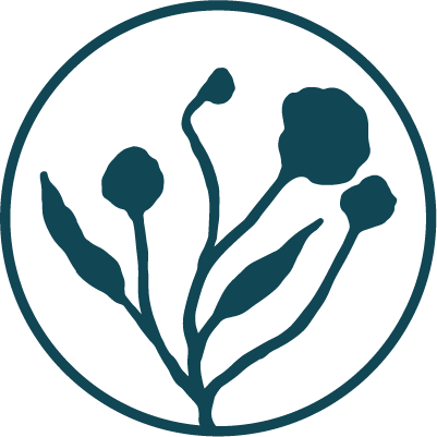 Holistic Massage Manzanita Oregon - Mind-Body Therapy - Wellness
Spa Oregon Coast